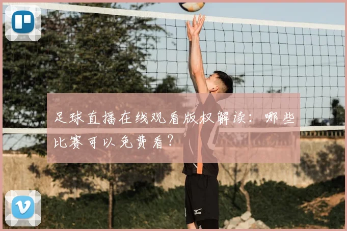 足球直播在线观看版权解读：哪些比赛可以免费看？