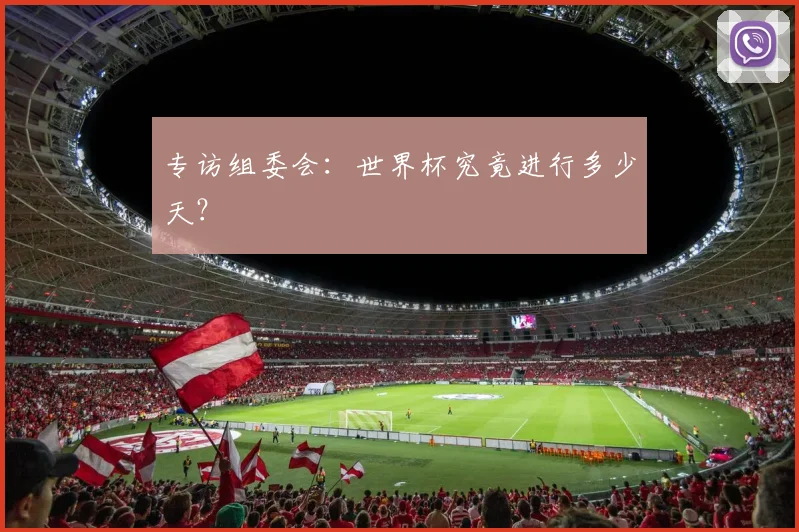 专访组委会：世界杯究竟进行多少天？