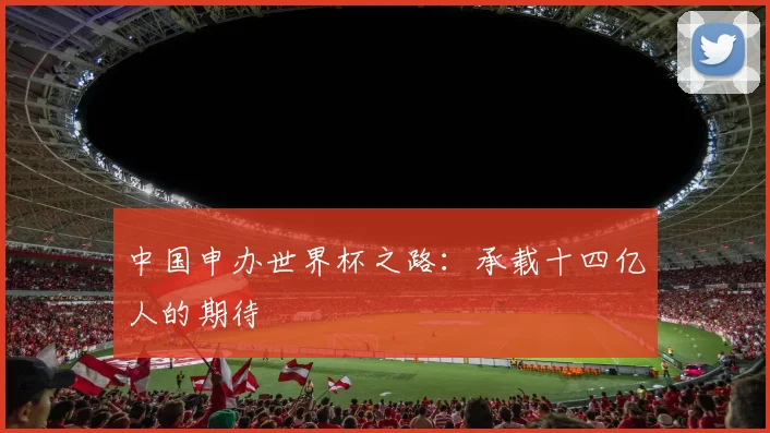 中国申办世界杯之路:承载十四亿人的期待