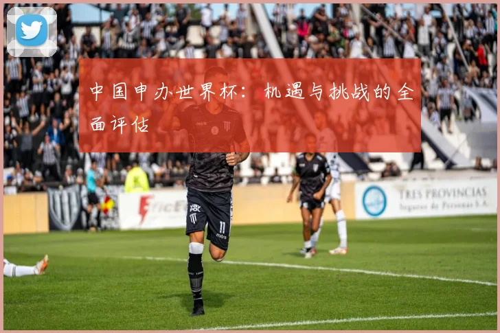 中国申办世界杯：机遇与挑战的全面评估
