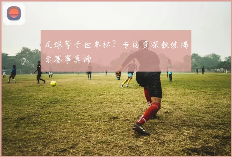 足球等于世界杯?专访资深教练揭示赛事真谛