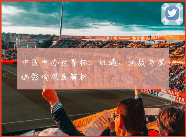 中国申办世界杯:机遇、挑战与深远影响深度解析