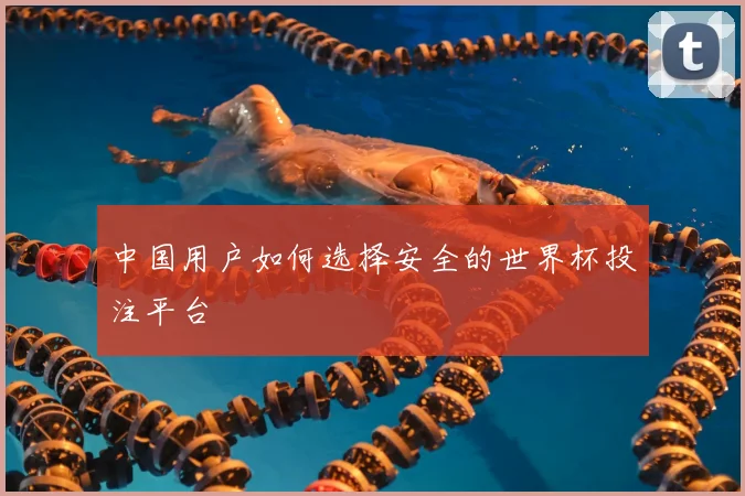 中国用户如何选择安全的世界杯投注平台